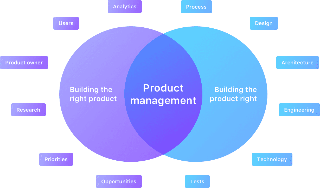 The Product Prodigy Chronicles